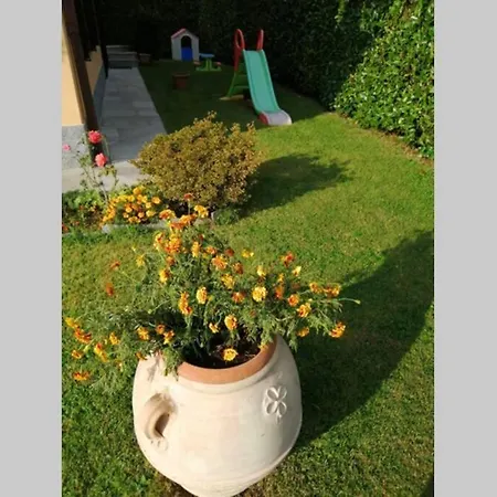 Casa Marimilen Sulle Alture Soleggiate Del Lago Maggiore Apartment